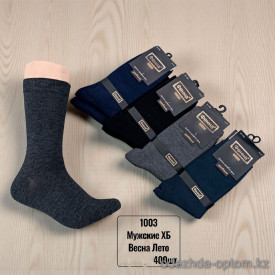 n5-1003-1 Носки мужские весна-лето, 41-47, 1 пачка (10 пар)