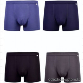 n1-DK56017 Limax Трусы мужские боксеры, L-3XL, 1 пачка (12 шт)