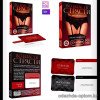 b5-0833 Игра 18+ "Во власти страсти", 1 шт