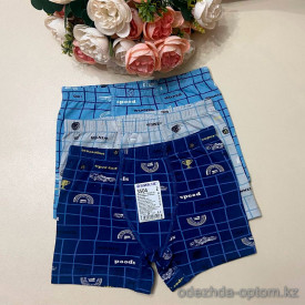 d7-3504 Baykar Трусики детские с принтом, 1 пачка (6 шт) d7-3504 Baykar Трусики детские с принтом, 1 пачка (6 шт)