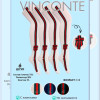k4-XB066 Vinconte Колготки детские с лампасами, 1-2 года, 1 пачка (6 шт)