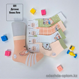 n5-691-2 Носочки детские весна-лето, 1 пачка (10 пар)