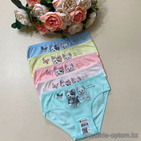d7-4171PB181 Donella Трусики детские на девочку, 1 пачка (10 шт) d7-4171PB181 Donella Трусики детские на девочку, 1 пачка (10 шт)