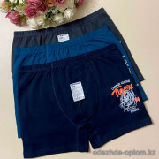 d7-3906 Baykar Боксеры подростковые, 8 (15-16) лет, 1 пачка (6 шт)