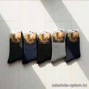 n5-0319 Носки мужские толстая верблюжья шерсть, 41-47, 1 пачка (10 пар)