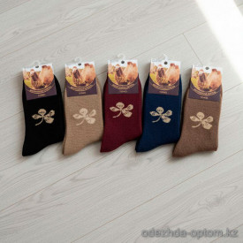 n5-0322 Носки женские толстая верблюжья шерсть, 36-41, 1 пачка (10 пар) n5-0322 Носки женские толстая верблюжья шерсть, 36-41, 1 пачка (10 пар)