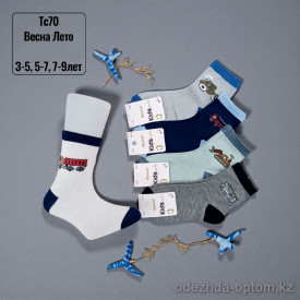 n5-TC70 Носочки детские весна-лето, 1 пачка (10 пар)