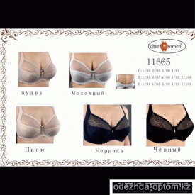 b8-11665 CharmWomen Бюстгальтер с кружевной чашкой, 1 пачка (6 шт)