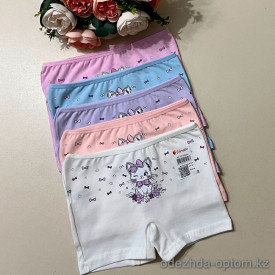 d7-4271PB256 Donella Трусики детские шортики на девочку, 1 пачка (10 шт)