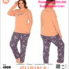 d7-4909 Rubina Комплект женской домашней одежды, 2XL-4XL, 1 пачка (3 шт)