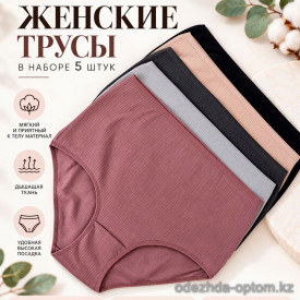 b4-110643-84 Nicoletta Комплект женских трусиков пятерка, большие размеры, 1 пачка (5 шт)