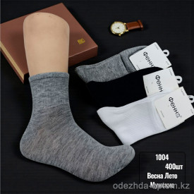 n5-1004-2 Носки мужские весна-лето, 41-47, 1 пачка (10 пар)