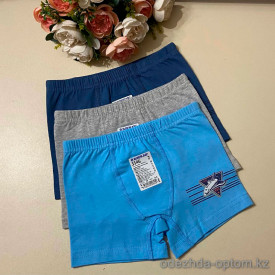 d7-3546-1 Baykar Трусики детские боксеры, 1 пачка (6 шт)