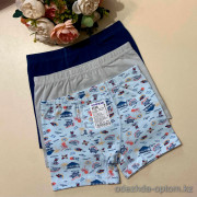 d7-3536-1 Baykar Трусики детские боксеры, 1 пачка (6 шт)