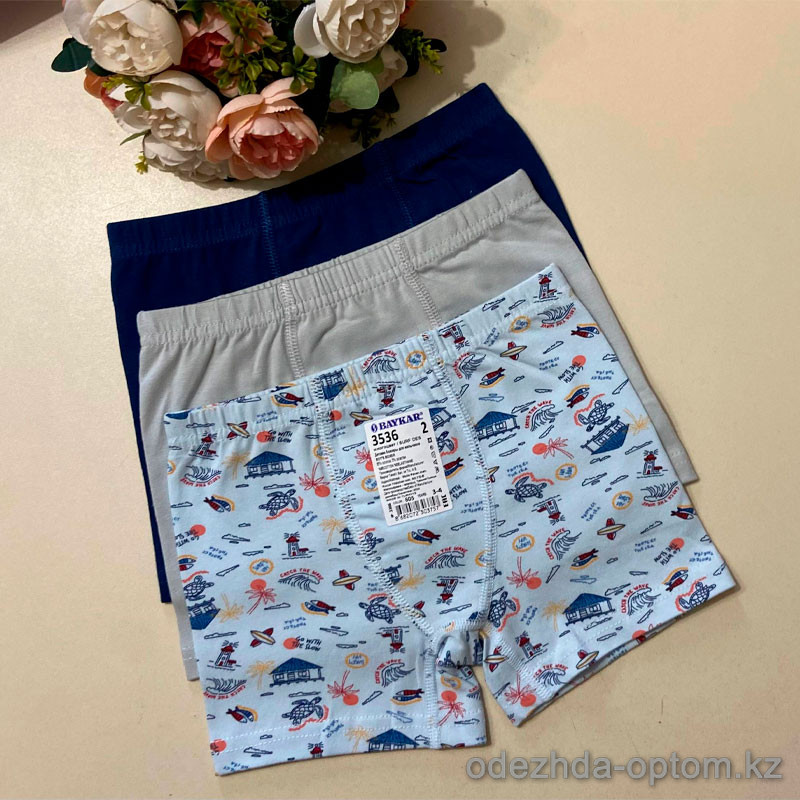 d7-3536-2 Baykar Трусики подростковые боксеры, 1 пачка (6 шт) d7-3536-2 Baykar Трусики подростковые боксеры, 1 пачка (6 шт)