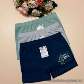 d7-3556 Baykar Трусики детские боксеры, 1 пачка (6 шт)