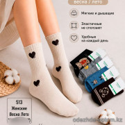 n5-513 Носки женские весна-лето, 36-41, 1 пачка (10 пар)
