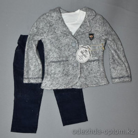 d4-2306-1 Детский костюм: брюки, свитшот, кофта, 6-18 мес, 1 пачка (3 шт)