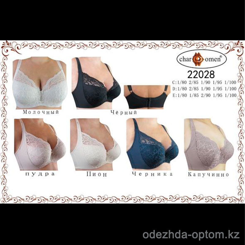 b8-22028 CharmWomen Бюстгальтер кружевной, чашка D, 1 пачка (6 шт) b8-22028 CharmWomen Бюстгальтер кружевной, чашка D, 1 пачка (6 шт)