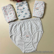 d7-2021E2-7 Donella Женские трусики, размер 6XL, 1 пачка (10 шт)