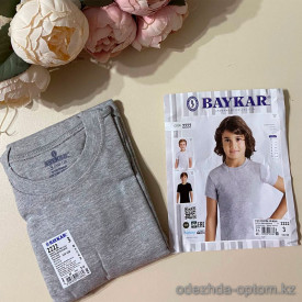 d7-2222-2 Baykar Футболка на мальчика, размер 5 (9-10) лет, 1 пачка (6 шт)