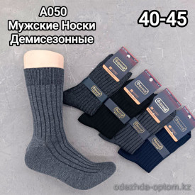 n5-A050-1 Носки мужские демисезонные, 40-44, 1 пачка (10 пар)
