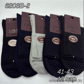 n4-6203B-2 Limax Носки мужские, 41-43, 1 пачка (12 пар)