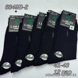 n4-6349B-2 Limax Носки мужские, 41-43, 1 пачка (12 пар)