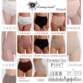 b4-P1017 Lanny Mode Трусики женские утягивающие, L-4XL, 1 пачка (6 шт)