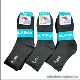 n3-0558 Alaska Носки мужские махровые, 41-45, 1 пачка (5 пар)