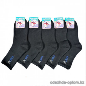 n3-0619 Alaska Термо-носки мужские толстые, 41-45, 1 пачка (5 пар)