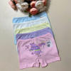 d7-4271PB79 Donella Трусики детские на девочку, 1 пачка (10 шт)