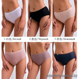 b4-P5170 Lanny Mode Трусики женские однотонные, L-4XL, 1 пачка (6 шт)