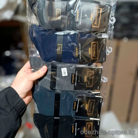 n5-ZA-1003-1 Носки мужские, 41-47, 1 пачка (10 пар)