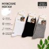 n5-ZA-38-2 Носки мужские, 41-47, 1 пачка (10 пар)