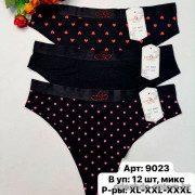 b6-9023-5 Lavolle Трусики женские с принтом, XL-3XL, 1 пачка (12 шт)