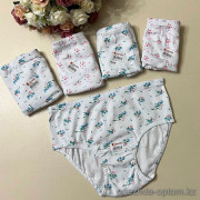 d7-2031e2-6 Donella Женские трусики, размер 6XL, 1 пачка (10 шт)