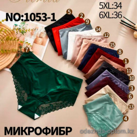 b8-1053 Трусики женские, микрофибра, большие размеры, 4XL-6XL, 1 пачка (12 шт)