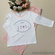 d7-436 Комплект детской пижамы: кофта и штаны, 110-160, 1 пачка (6 шт)