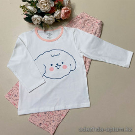 d7-436 Комплект детской пижамы: кофта и штаны, 110-160, 1 пачка (6 шт)