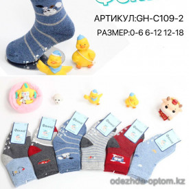 n5-GH-C109-2 Фенна Носочки детские махровые, 1 пачка (12 пар)