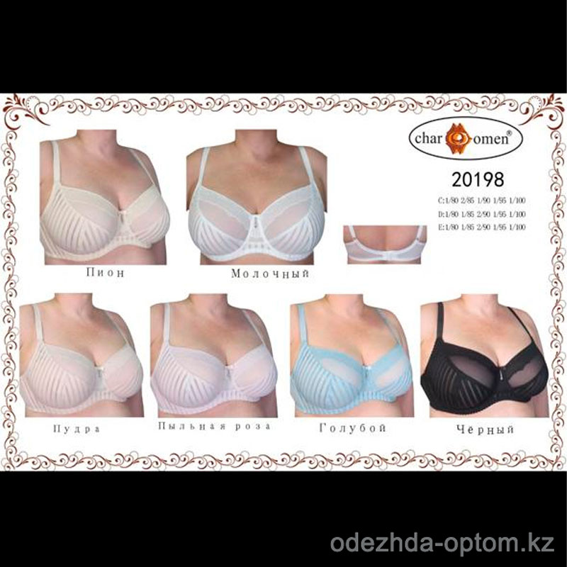 b8-20198 CharmWomen Бюстгальтер на тонком поролоне дышащий, 1 пачка (6 шт) b8-20198 CharmWomen Бюстгальтер на тонком поролоне дышащий, 1 пачка (6 шт)