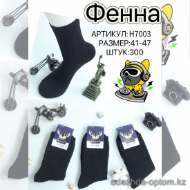 n5-H7003 Носки мужские махровые, 41-47, 1 пачка (10 пар)