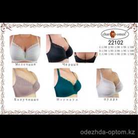 b8-22102 CharmWomen Бюстгальтер с кружевной вставкой, чашка D, 1 пачка (6 шт)