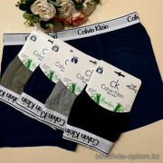 d7-0101 Трусы мужские боксеры, бамбук, M-3XL, 1 пачка (6 шт)