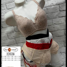 b5-22028-1 CharmWomen Бюстгальтер с широкими лямками кружевной, 1 пачка (6 шт)