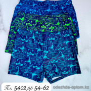 z4-5402 Плавки мужские с принтом, 54-62, 1 пачка (5 шт)