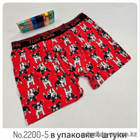 b4-2200-5 Трусы мужские боксеры, M-2XL, 1 пачка (4 шт)