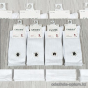 n3-BJ-160 DMDBS Носки женские, 36-41, 1 пачка (10 пар)