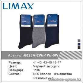 n1-6023-1 LIMAX Носки мужские, 1 пачка (12 пар)